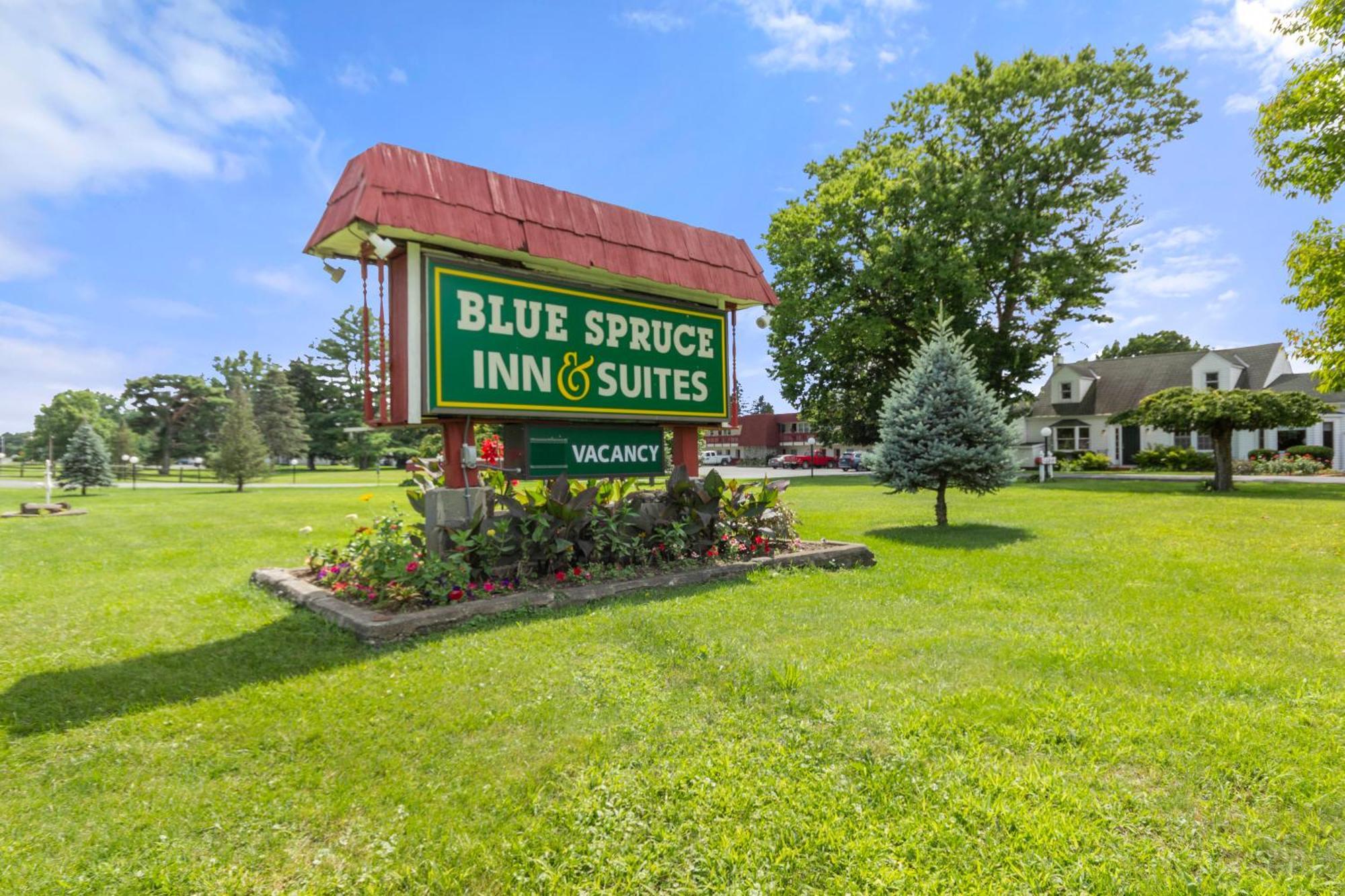 Blue Spruce Inn & Suites Valatie Екстер'єр фото