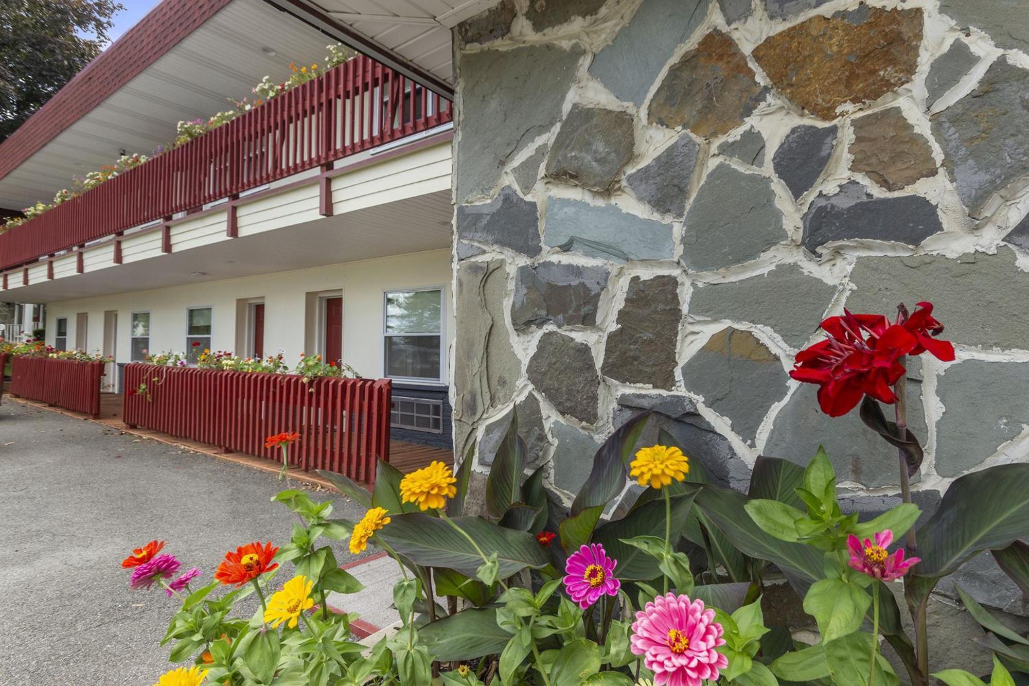 Blue Spruce Inn & Suites Valatie Екстер'єр фото
